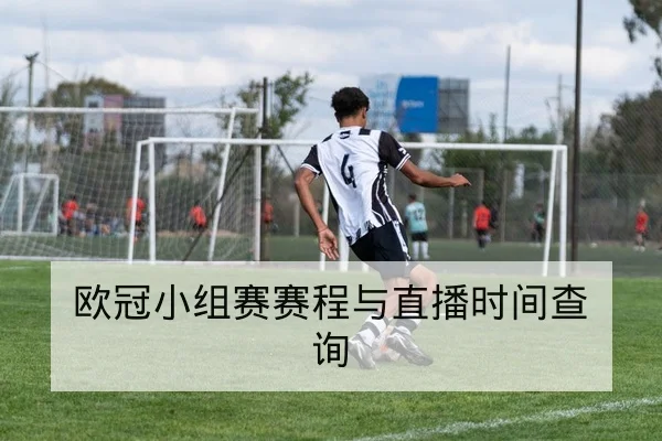 球队替补得分效率与胜负影响数据说明
